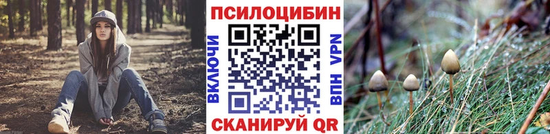 Купить где  Демидов  Псилоцибиновые грибы мицелий 